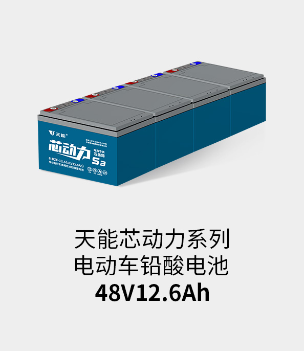 尊龙凯时人生就是博z6com电池48v12ah