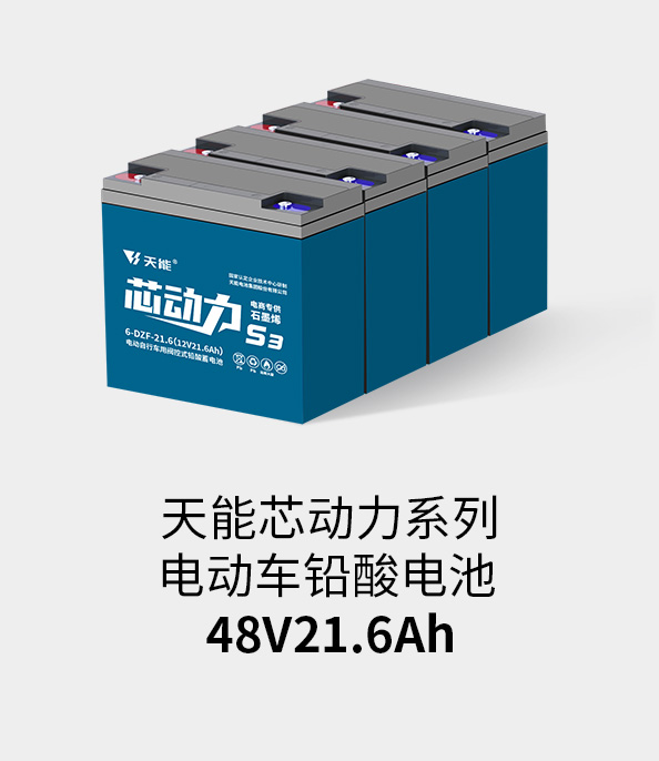 尊龙凯时人生就是博z6com电池48v20ah