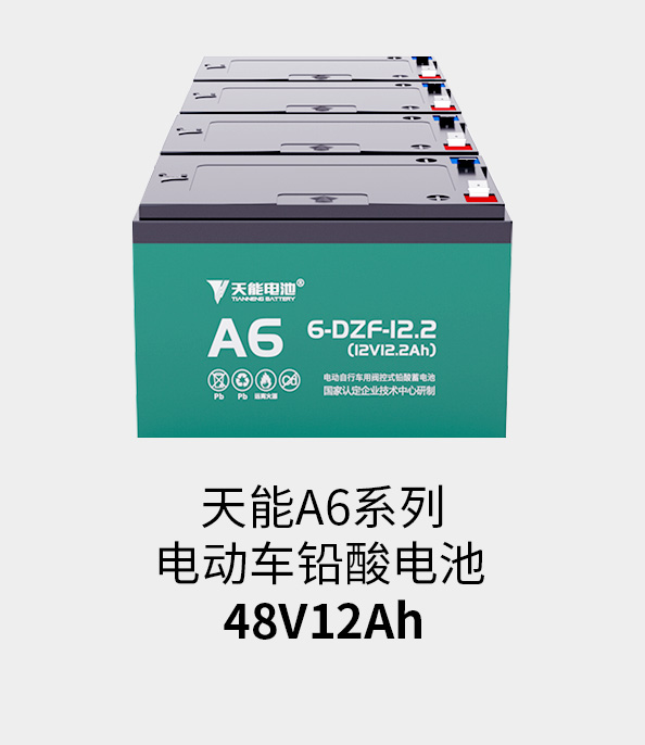 尊龙凯时人生就是博z6com电池48v12ah