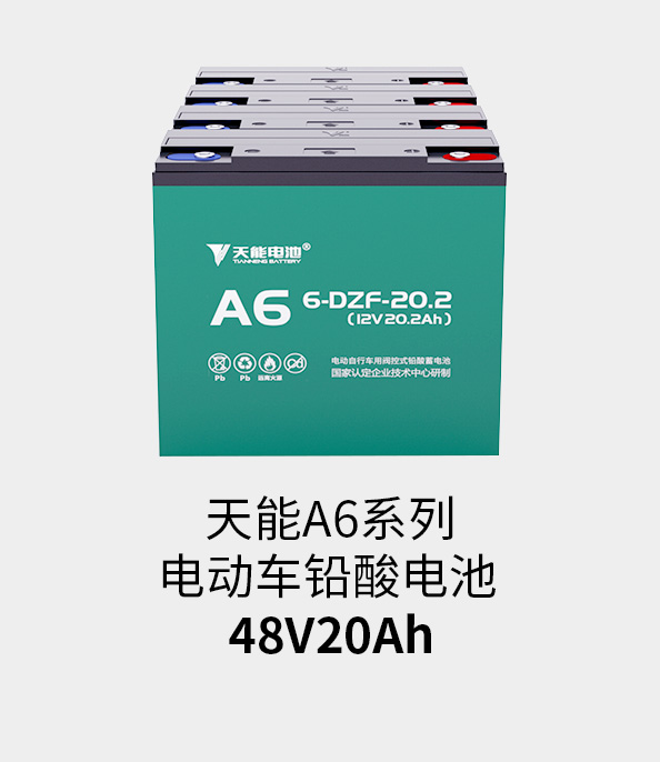 尊龙凯时人生就是博z6com电池48v20ah