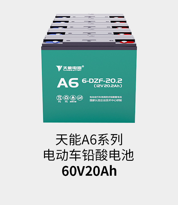 尊龙凯时人生就是博z6com电池60v20ah