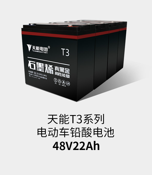尊龙凯时人生就是博z6comT3系列48v22ah