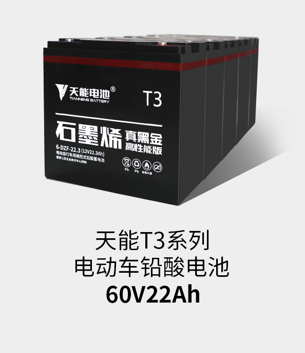 尊龙凯时人生就是博z6comT3系列60v22ah